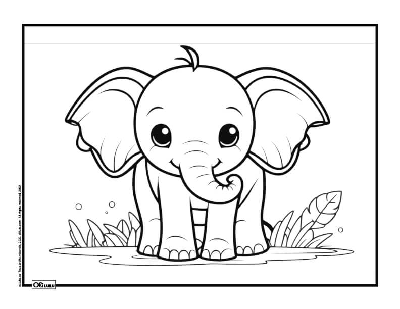 Elephant