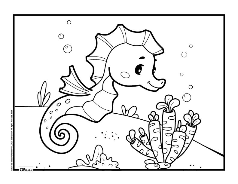Seahorse